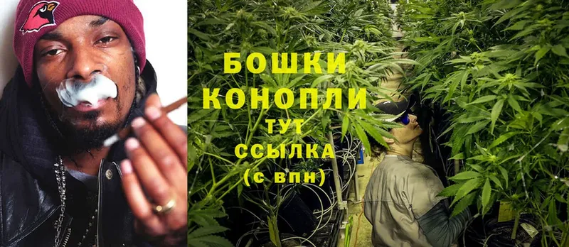 что такое   Красноуфимск  Бошки Шишки Bruce Banner 